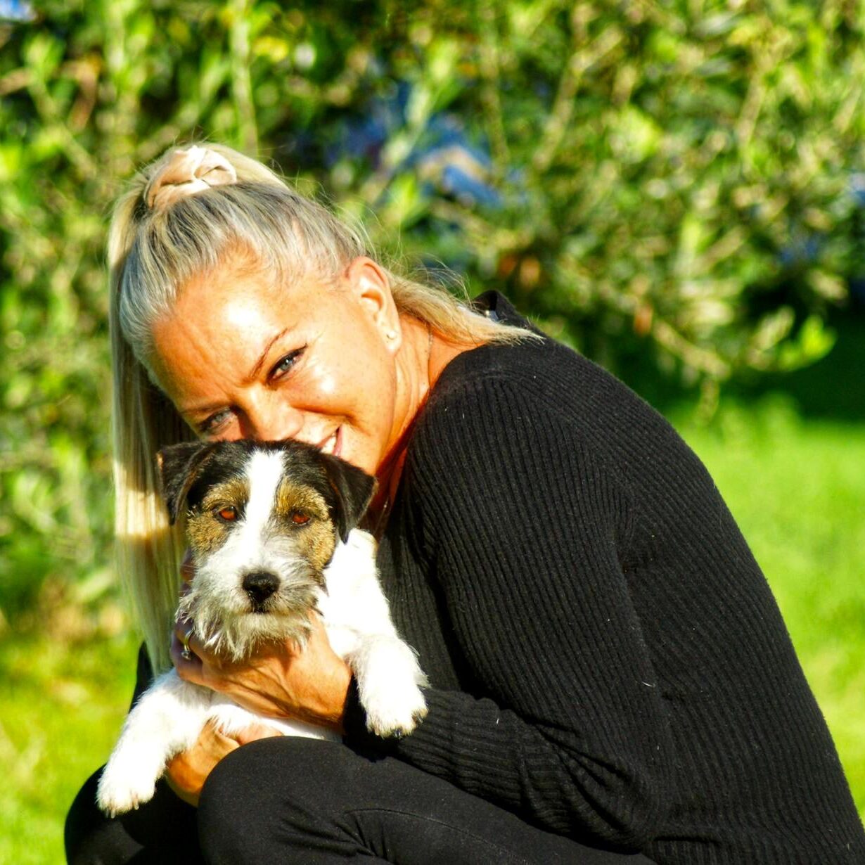 Allevamento Jack Russell Toscana